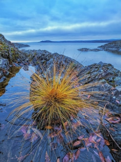 Lake Superior Prints: Lake Superior Provincial Park, Ontario, Canada