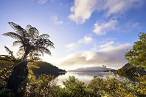 Images Dated 4th November 2019: Lake Tarawerea sunrise, Rotorua, New Zealand