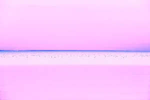 Prairie Province Prints: Lake Winnipeg at dusk. Matlock, Manitoba, Canada