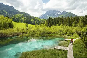 Images Dated 12th May 2021: Lake Zelenci, Kranjska Gora, Slovenia
