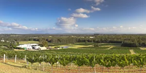 Lakes Folly Wine Estate, Hunter Valley, New South Wales, Australia Lakes Folly Wine Estate, Hunter Valley, New South Wales, Australia