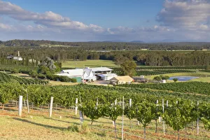 Lakes Folly Wine Estate, Hunter Valley, New South Wales, Australia Lakes Folly Wine Estate, Hunter Valley, New South Wales, Australia
