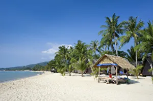 Ko Samui Gallery: Lamai Beach, Ko Samui Island, Thailand