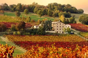 Images Dated 30th March 2021: Lambrusco Grasparossa Vineyards and farmhouse in autumn, Castelvetro di Modena