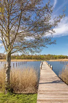 Landing Stage Prints: Landing stage in the Bodden harbour of Prerow