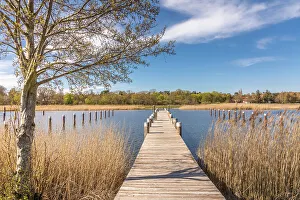 Landing stage in the Bodden harbour of Prerow, Mecklenburg-West Pomerania, North Germany, Germany