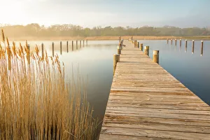 Landing stage in the Bodden harbour of Prerow, Mecklenburg-West Pomerania, North Germany, Germany