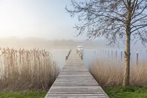 Landing Stage Prints: Landing stage in the fog in the Bodden harbour of Prerow