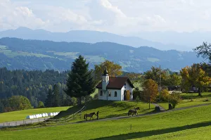 Autumnally Prints: Landscape in Allgaeu, Bavaria, Germany
