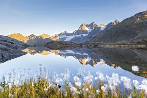 Eriophorum Prints: Landscape of an alpine lake during summer in italian Alps mountains