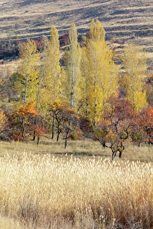 Armenia Prints: Landscape in the autumn, Armenia