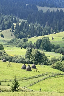 Western Ukraine Prints: Landscape, Carpathians, Zakarpattia Oblast, Transcarpathia, Ukraine