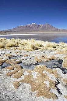 Natural Wonder Collection: Landscape of Laguna Canapa on Altiplano, Potosi Department, Bolivia