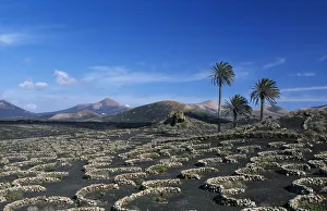Landscape nearby Uga, Lanzarote, Canary Islands, Spain