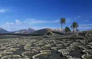 Images Dated 12th April 2011: Landscape nearby Uga, Lanzarote, Canary Islands, Spain