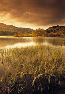 Landscape nr