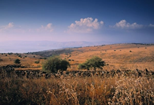 Landscape above Sea of Galillee