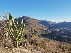 Cactuses Prints: Landscape seen from Hierve el Agua, San Lorenzo Albarradas, Oaxaca State, Mexico