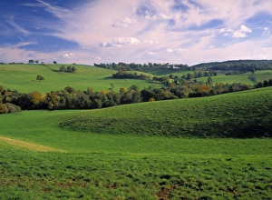 Landscape in Surrey