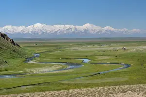 Mountan Prints: Landscape of valley near Sary Tash with Pamir mountains in the background