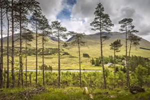 Aryll And Bute Prints: Landscape on the West Highland Way at Bridge of Orchy, Aryll and Bute, Scotland