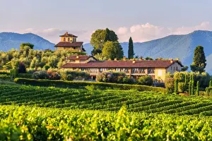 Wines Prints: Landscapes and vineyards of the Franciacorta at sunset in Brescia province