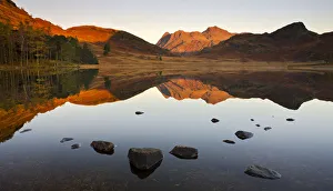 The Langdale Pikes reflected in a mirrorlike Blea Tarn at sunrise, Lake District National The Langdale Pikes reflected in a mirrorlike Blea Tarn at sunrise, Lake District National