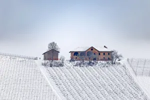 Cuneo Prints: Langhe, Cuneo district, Piedmont, Italy. Langhe wine region winter snow, Fontanafredda