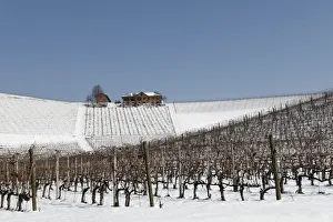 Langhe, Cuneo district, Piedmont, Italy. Langhe wine region winter snow, Fontanafredda
