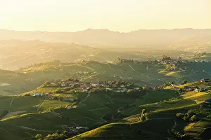 Rolling Hills Prints: Langhe hills and the villages of Castiglione Falletto and Serralunga d'Alba