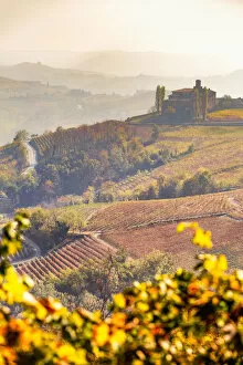 Images Dated 22nd January 2018: Langhe, Piedmont, Italy. Autumn landscape with vineyards and hills