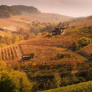 Langhe, Piedmont, Italy. Autumn landscape with vineyards and hills