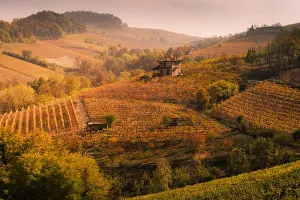 Langhe, Piedmont, Italy. Autumn landscape with vineyards and hills