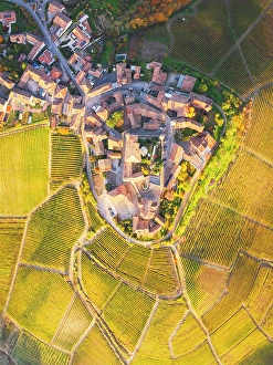 Roads Prints: Langhe vineyards and Castiglione Falletto village