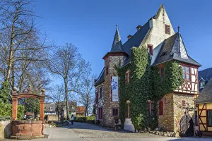 Rheingau Prints: Langwerth von Simmern winery in Eltville, Rheingau, Hesse, Germany
