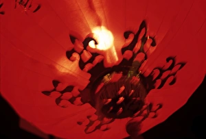 Chinese New Year Prints: Lantern, Chinese New Year