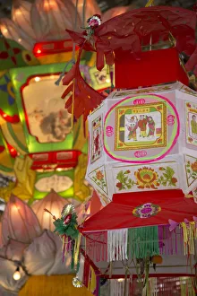New Territories Prints: Lanterns at Wishing Tree Festival at Chinese New Year, Tai Po, New Territories, Hong Kong