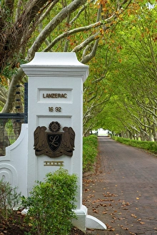 Drive Prints: Lanzerac Wine Estate, Stellenbosch, Western Cape, South Africa