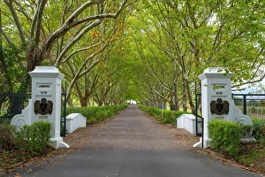 Lanzerac Wine Estate, Stellenbosch, Western Cape, South Africa