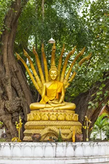 Images Dated 3rd February 2018: Laos, Luang Prabang, Wat Wisunarat, golden buddha