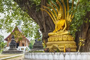 Images Dated 3rd February 2018: Laos, Luang Prabang, Wat Wisunarat, golden buddha