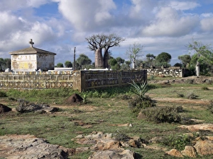 A large Mahafaly burial ground