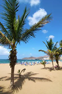 Las Palmas Prints: Las Canteras beach, Las Palmas, Gran Canaria, Canary Islands, Spain