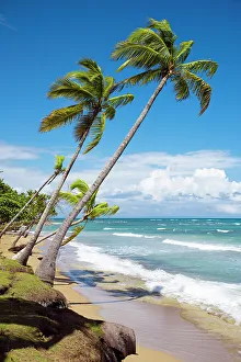 Dominica Prints: Las Terrenas Playa Bonita, Dominican Republic