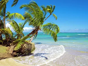 Dominica Prints: Las Terrenas, Playa Bonita, Dominican Republic