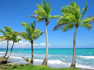 Dominica Prints: Las Terrenas, Playa Bonita, Dominican Republic