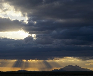 Stormy Clouds Prints: In the late afternoon, storm clouds gather over Amboseli