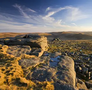January Prints: Late evening golden sunlight at Higher Tor on Belstone Common, Dartmoor National Park
