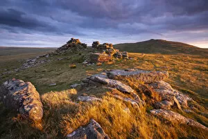 Images Dated 23rd March 2021: Late summer evening sunlight glowing on the granite outcrops of West Mill Tor in Dartmoor