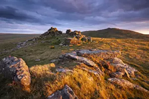 Late summer evening sunlight glowing on the granite outcrops of West Mill Tor in Dartmoor